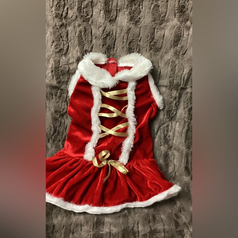 🌺 Pet Christmas Outfit